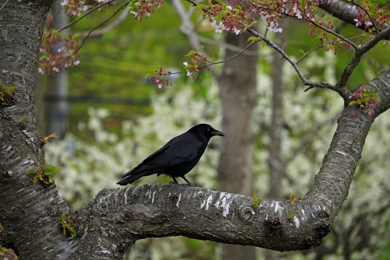 pexels photo 35057151.jpeg