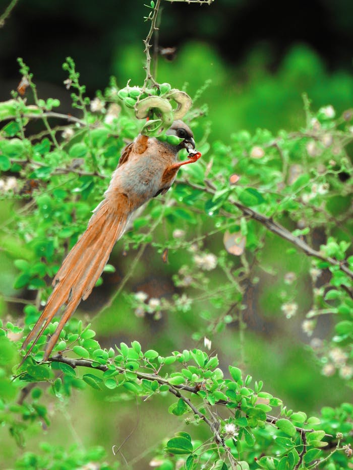 pexels photo 35064021.jpeg